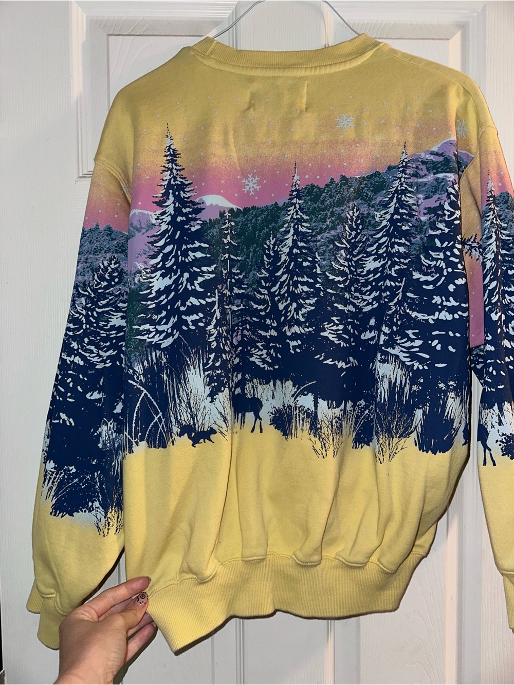 Urban Outfitters Yellow, Pink, Navy Scenic Sweatshirt - Picture 3 of 3